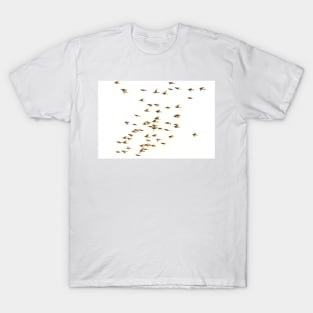 Cedar Waxwings Migrating North T-Shirt